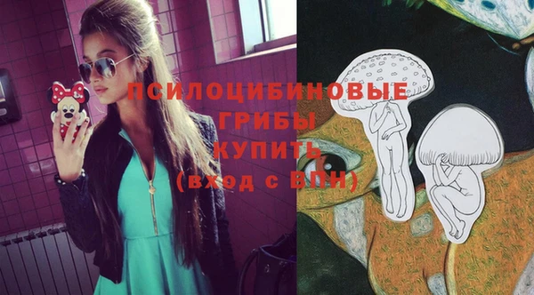 спайс Богородск